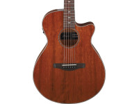 Ibanez AEG220-LGS Ibanez AEG220-LGS